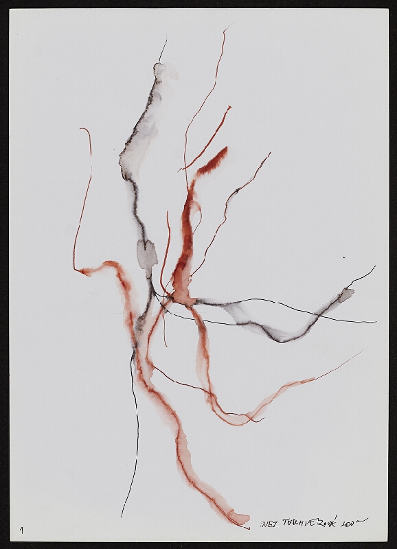 Inez Tuschnerová – Bez názvu 