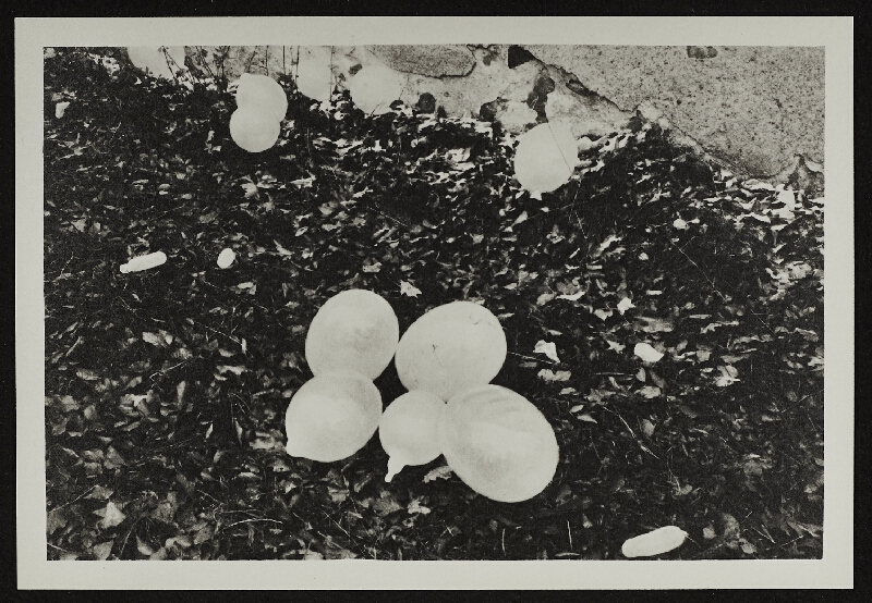 Zorka Ságlová – Pocta Fafejtovi 