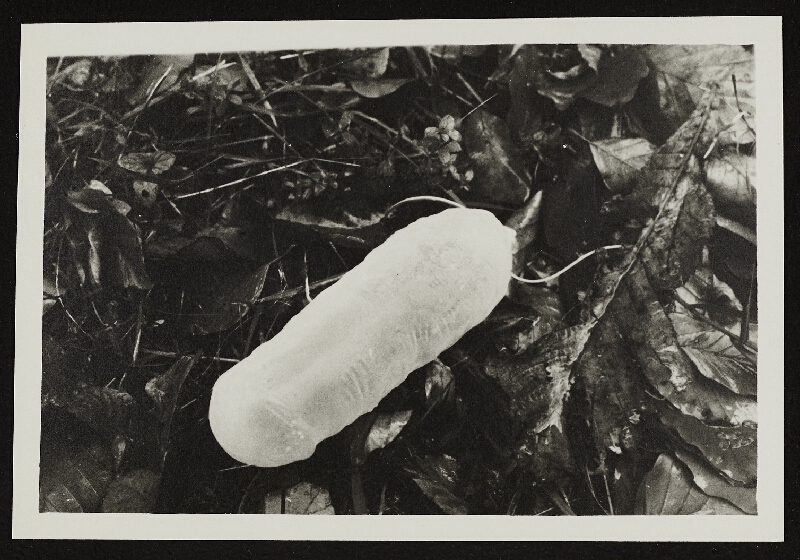 Zorka Ságlová – Pocta Fafejtovi 