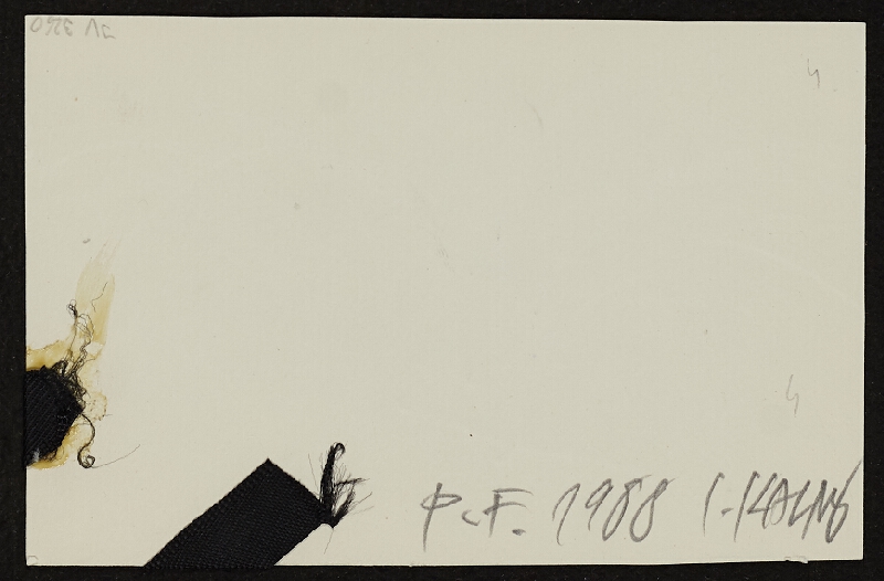 Igor Kalný – P.F. 1988 