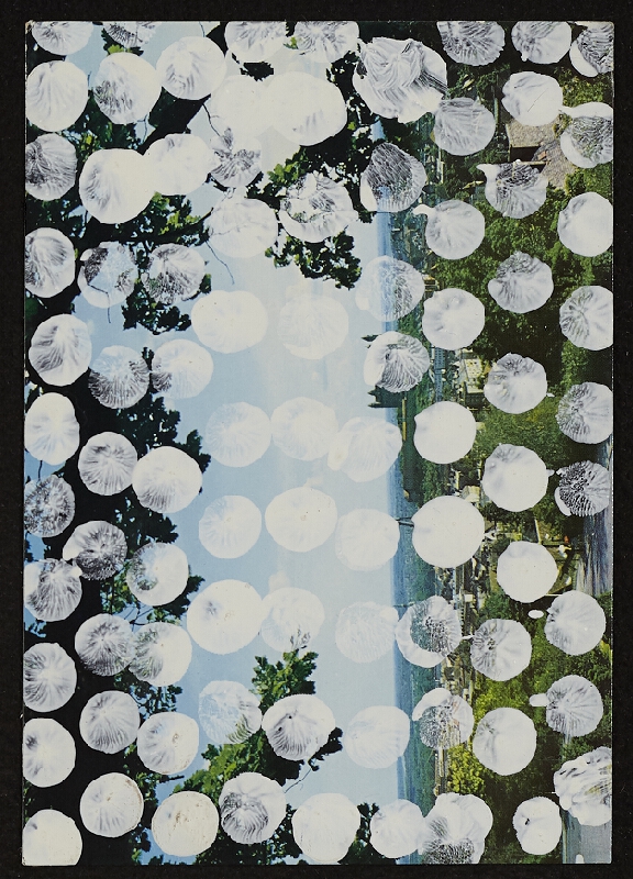 Dezider Tóth – P.F. 1974 