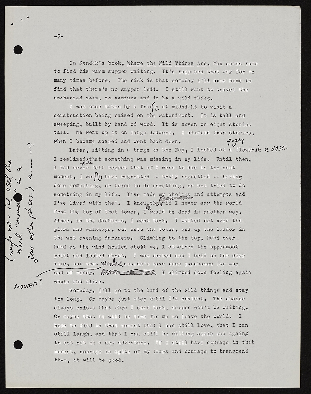 Ken Friedman – Portion of Book THE WONDERWORKER 