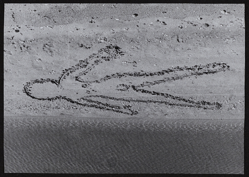 Jana Želibská – Príhoda na brehu jazera, Čunovo 