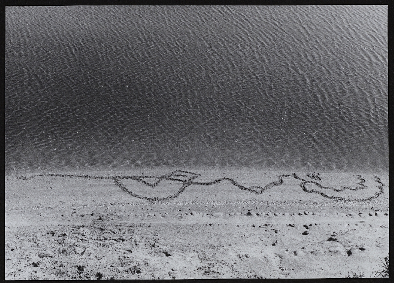 Jana Želibská – Príhoda na brehu jazera, Čunovo 