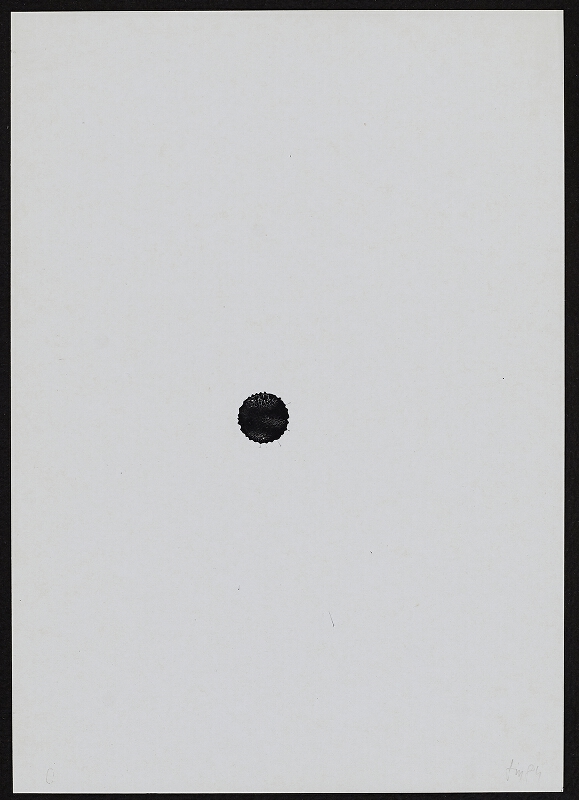 Milan Lasota – Daktylický slovník 