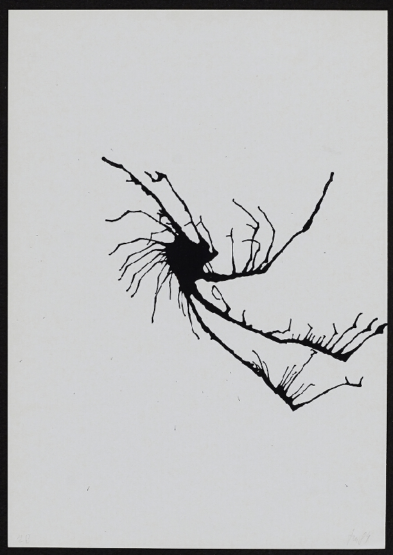 Milan Lasota – Daktylický slovník 