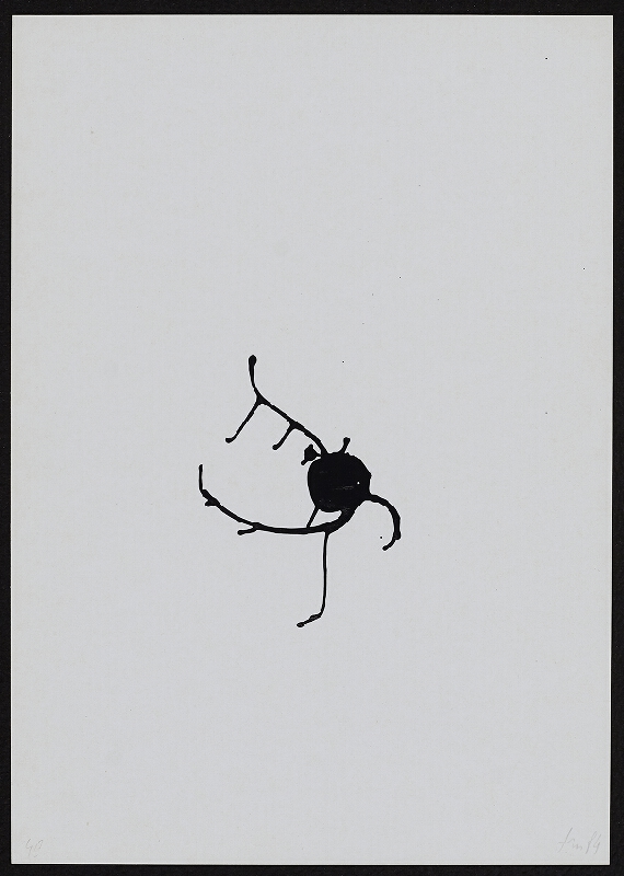 Milan Lasota – Daktylický slovník 