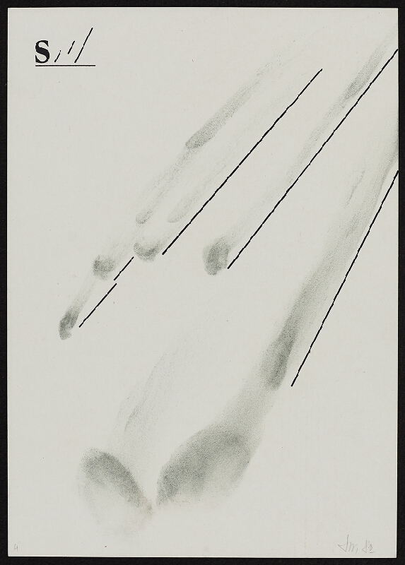 Milan Lasota – Smyk 