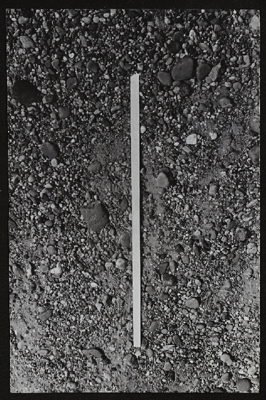 Imre Bak – White Stripes 