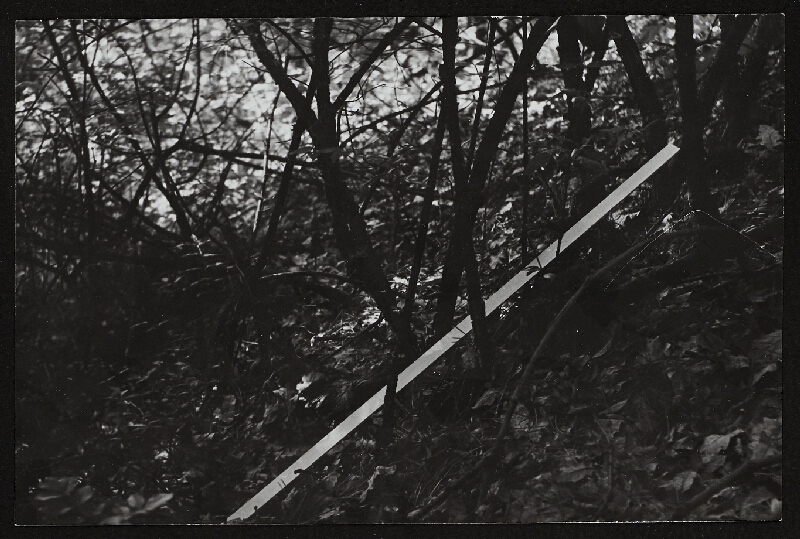 Imre Bak – White Stripes 