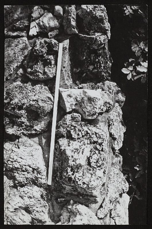 Imre Bak – White Stripes 