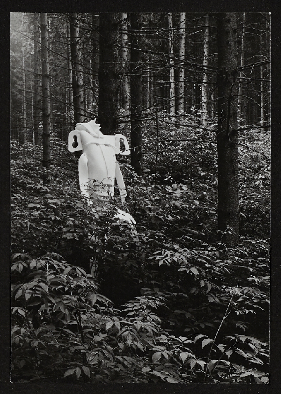 Ladislav Novák – Putování s Ichichvory 