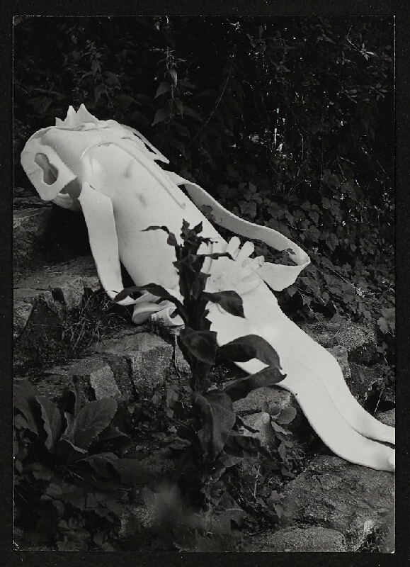 Ladislav Novák – Putování s Ichichvory 