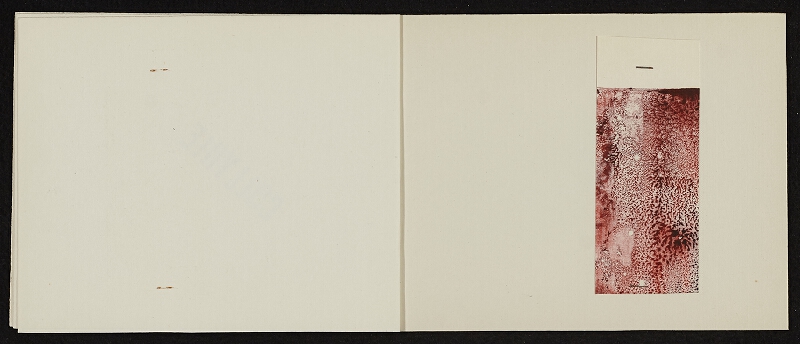 Jiří Hynek Kocman – My Activity, report no. 2 Graphic Activity, Tinktury 