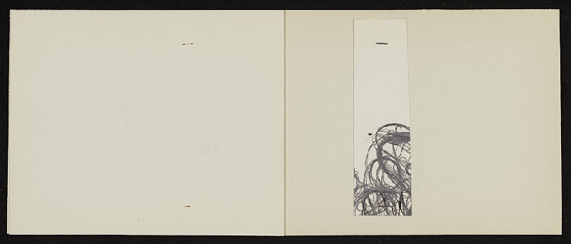 Jiří Hynek Kocman – My Activity, report no. 5 String Graphic 