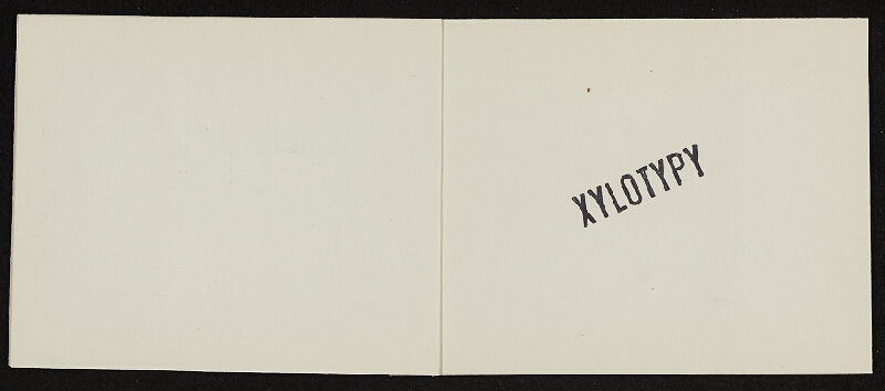 Jiří Hynek Kocman – My Activity, report no. 7 Graphoic Activity Xylotypy 