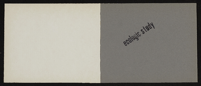 Jiří Hynek Kocman – My Activity, report no. 12 Ecologic Study 