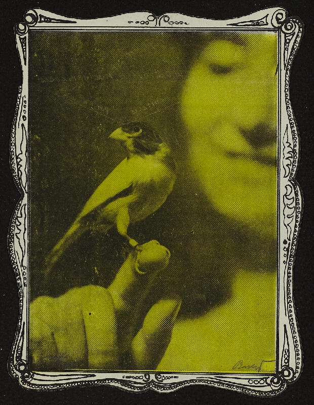 Peter Bartoš – Bez názvu 