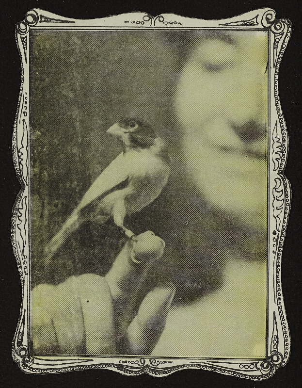 Peter Bartoš – Bez názvu 