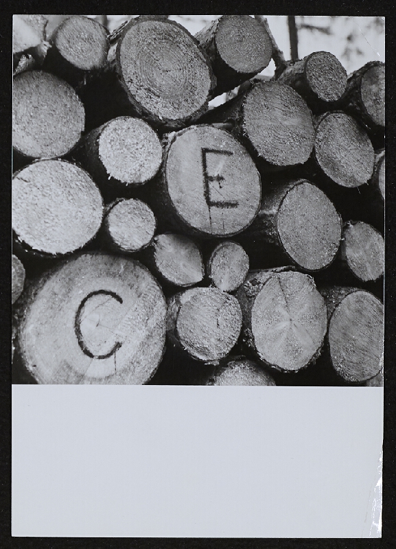 Jiří Valoch – silence 