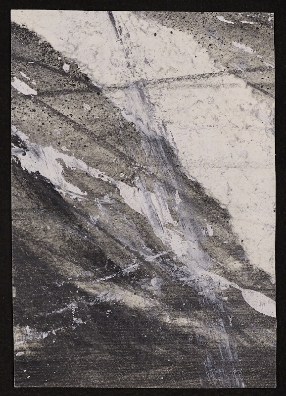 Daniel Fischer – PF 1989 