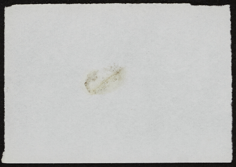 Miloš Šejn – Doteky / Zebín 