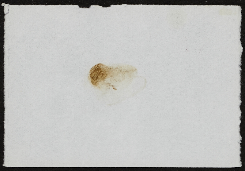 Miloš Šejn – Doteky / Zebín 