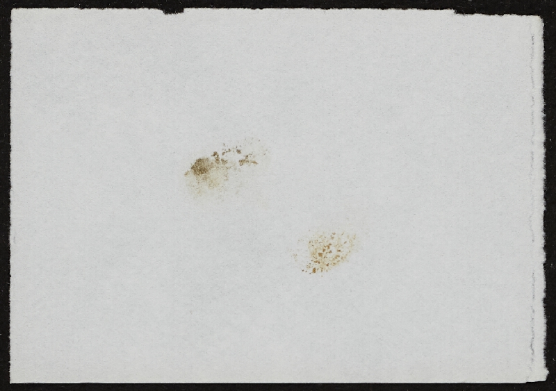 Miloš Šejn – Doteky / Zebín 