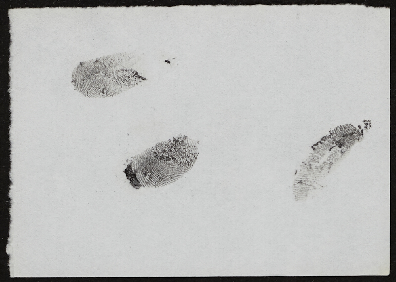 Miloš Šejn – Doteky / Zebín 