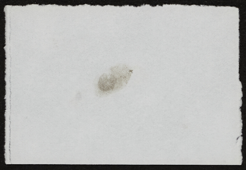 Miloš Šejn – Doteky / Zebín 