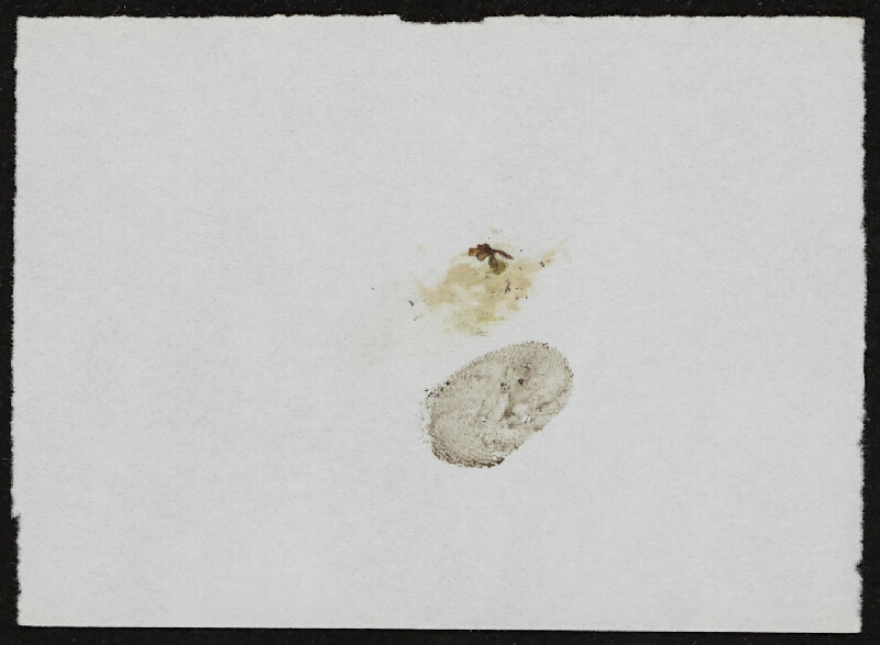 Miloš Šejn – Doteky / Zebín 