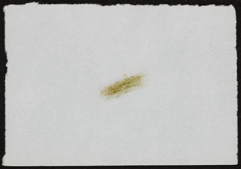 Miloš Šejn – Doteky / Zebín 