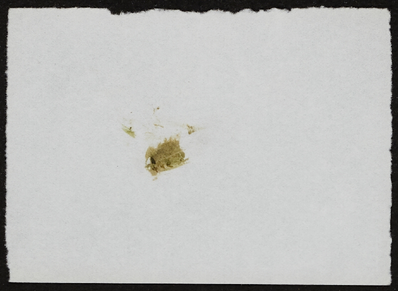 Miloš Šejn – Doteky / Zebín 