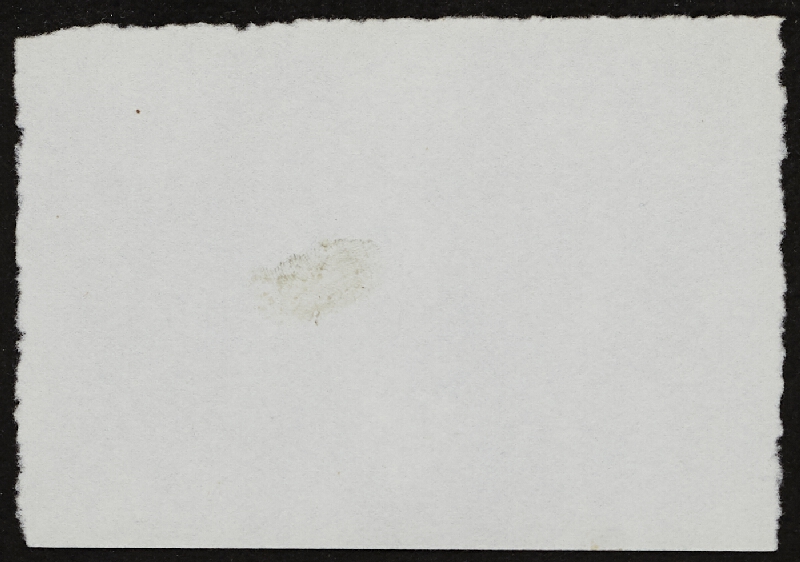 Miloš Šejn – Doteky / Zebín 