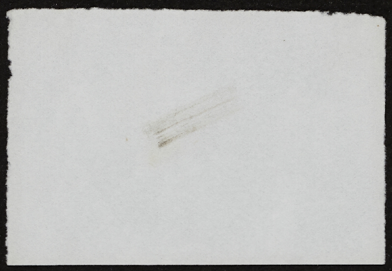 Miloš Šejn – Doteky / Zebín 