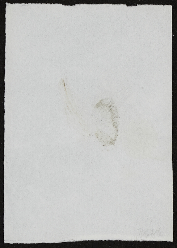 Miloš Šejn – Doteky / Zebín 