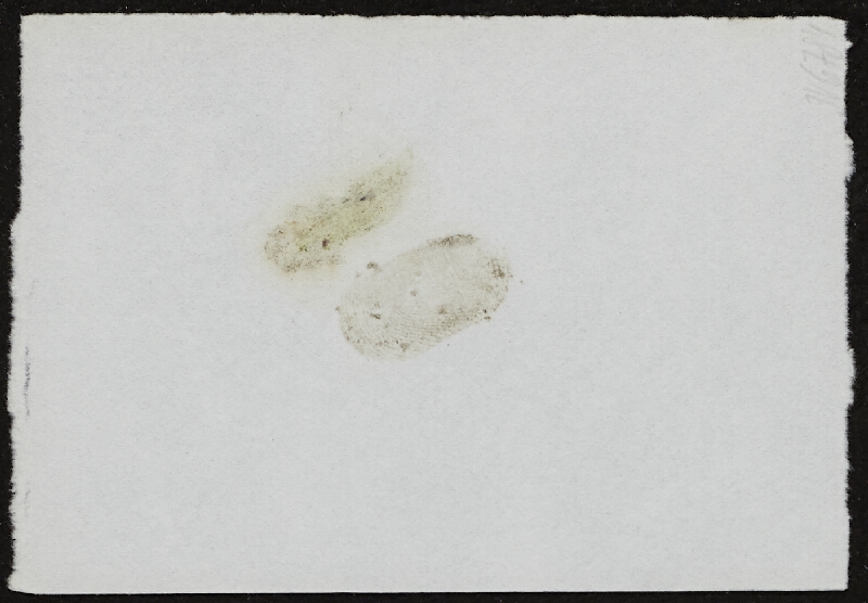 Miloš Šejn – Doteky / Zebín 