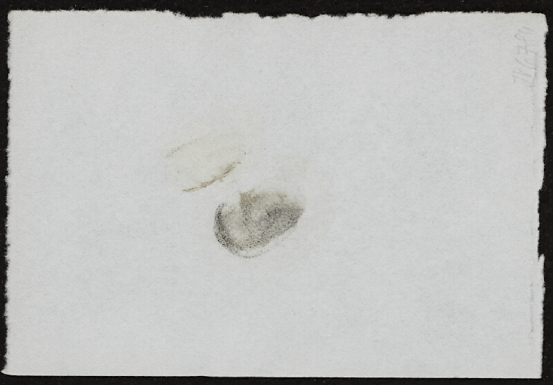 Miloš Šejn – Doteky / Zebín 