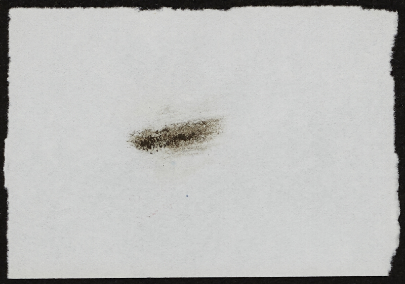 Miloš Šejn – Doteky / Zebín 