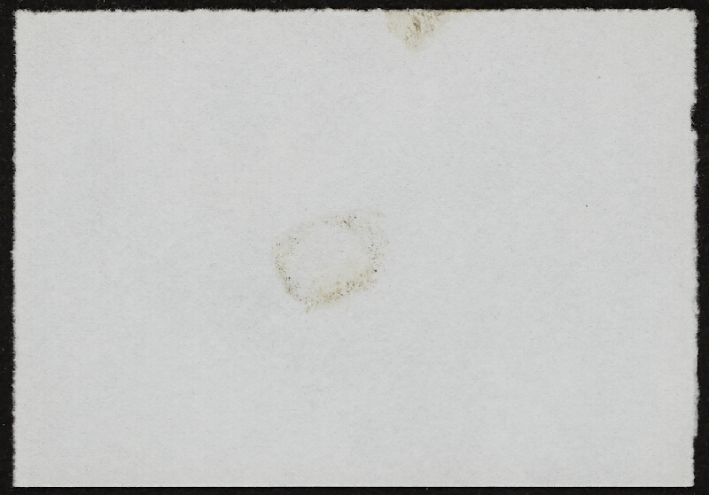 Miloš Šejn – Doteky / Zebín 