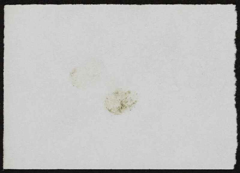 Miloš Šejn – Doteky / Zebín 