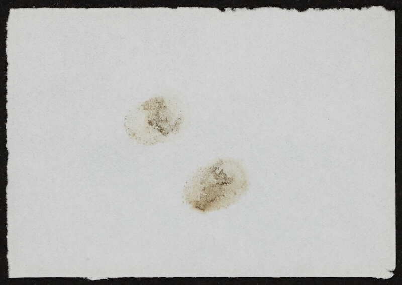 Miloš Šejn – Doteky / Zebín 