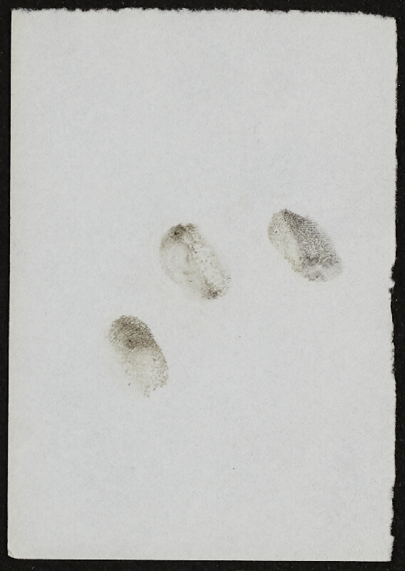 Miloš Šejn – Doteky / Zebín 