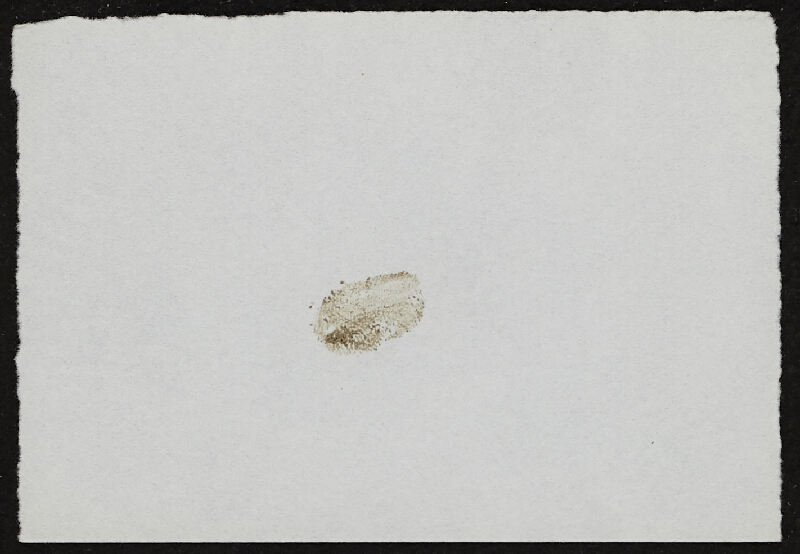 Miloš Šejn – Doteky / Zebín 