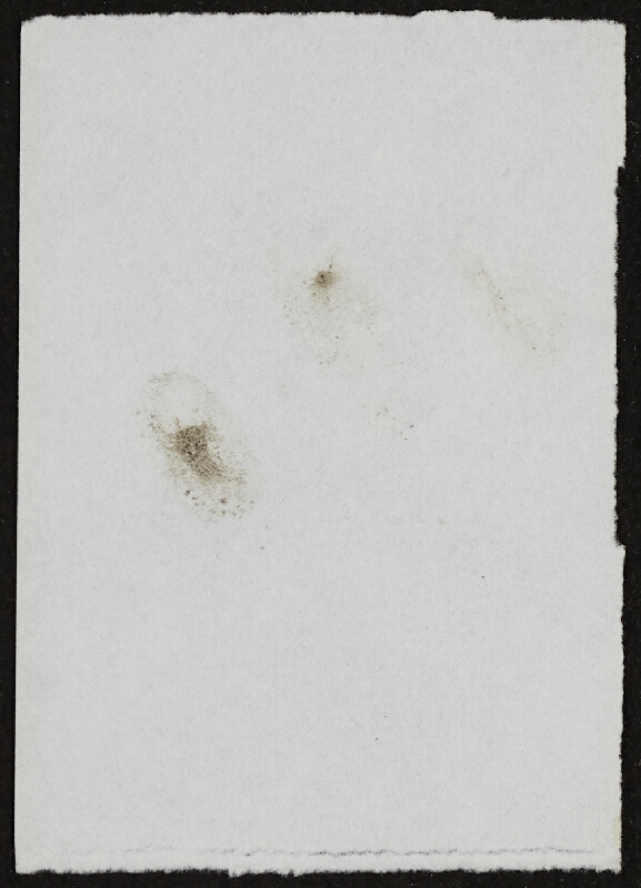 Miloš Šejn – Doteky / Zebín 