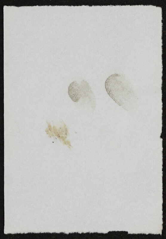 Miloš Šejn – Doteky / Zebín 