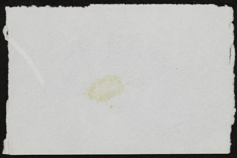 Miloš Šejn – Doteky / Zebín 