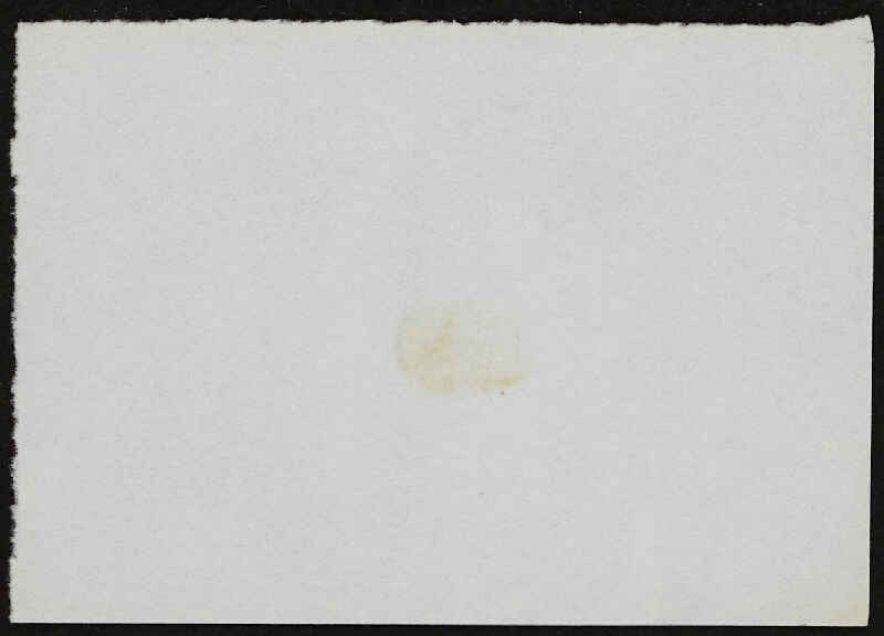 Miloš Šejn – Doteky / Zebín 