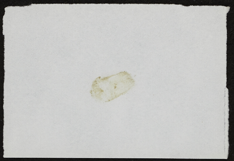 Miloš Šejn – Doteky / Zebín 