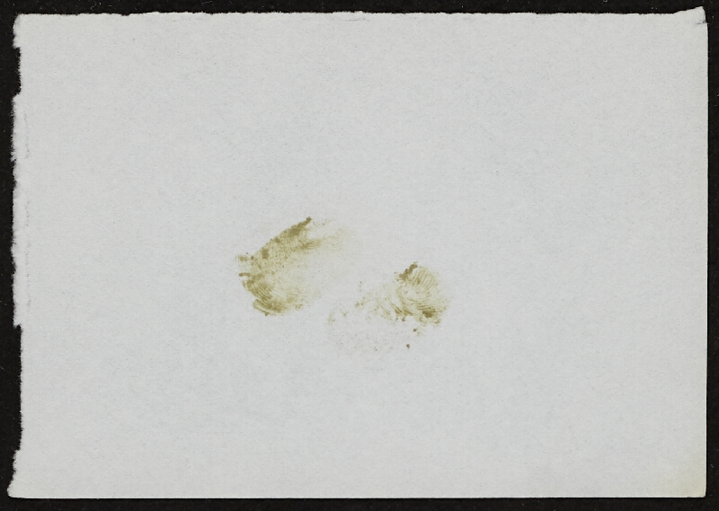 Miloš Šejn – Doteky / Zebín 